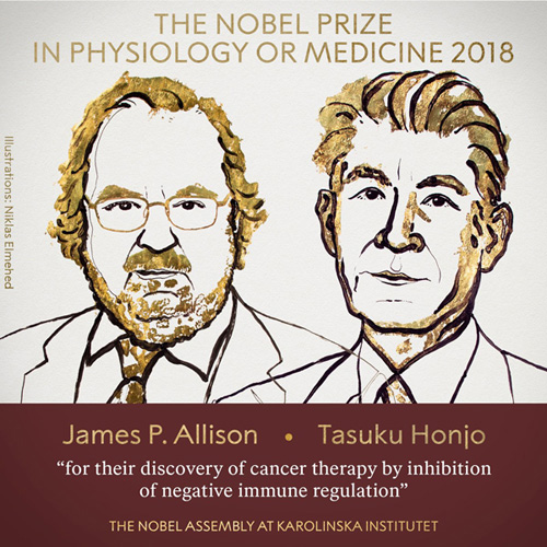 Нобелевская премия вручена за новые методы лечения рака