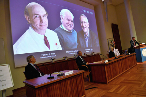 Стали известны имена лауреатов Нобелевской премии по физиологии и медицине